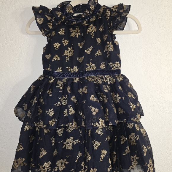 Janie and Jack Girl Dark Marine Glitter Floral Chiffon Dress - Picture 3 of 9